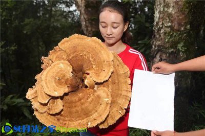 是中国多个重要王朝的首都