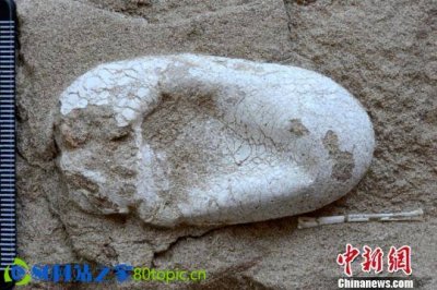 是廊坊各盲目维修导致反复返工