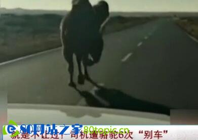 需要准...