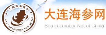 是大连新闻面向全球的传播中心