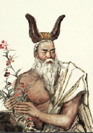 泰康人寿保险有限责任维拉官方合作伙伴